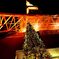 東京タワーとクリスマスの木