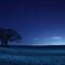 静かな夜