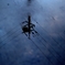 reflection