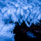 雪月花
