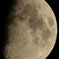 DSC_2863-R-2
