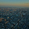 skytree[2]