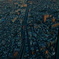 skytree[3]