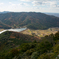 _DSC0699