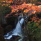 紅葉と滝