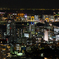 Tokyo City Night View
