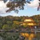 金閣寺