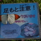(踏)まないでぇ～