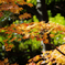 photo_2993942