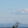 空と海と木