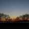牛久沼の夕闇 (2)