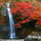 滝と紅葉と