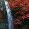 滝と紅葉と2