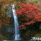 滝と紅葉と3
