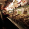 Weihnachtsmarkt von Nürnberg  2