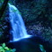 photo_2997665