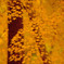 紅葉　Ⅲ