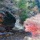 紅葉を求めて
