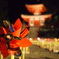 大覚寺