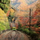 登山電車