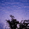 まだら雲