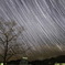星降る街角