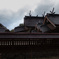 出雲大社本殿