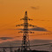 _DSC0296