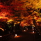 紅葉のトンネル