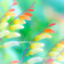 Orange-Yellow