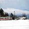 雪国列車が通りますよ～