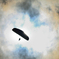 FLY HIGH