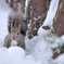 雪遊び大好き！！