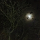 不気味な夜空