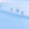 Snow-blue