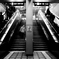 distortion