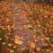秋の道、散紅葉。