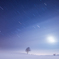 -20℃