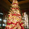 丸の内のクリスマス