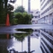 after the rain