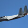 岐阜基地航空祭2013　F15
