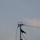 2012.10.1 269