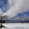 雪景色だーーーーーーーーーーーー