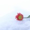 雪小菊