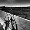 Shadow in a day