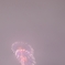 花火が咲く。