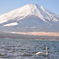 FUJIYAMA6