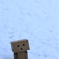 はつゆき❄