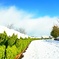 雪道