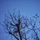 冬の空